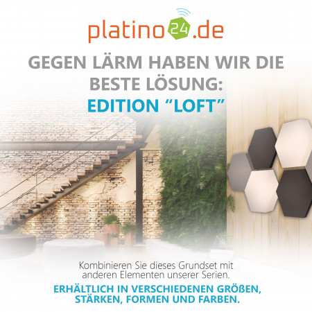 Edition LOFT Honeycomb - 6 Absorber aus Basotect ® - Farbe: Anthracite + Platinum + Snow
