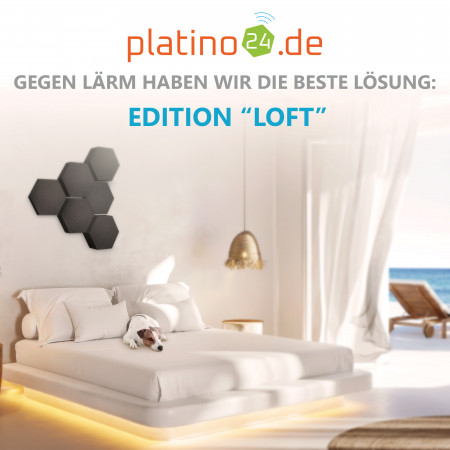 Edition LOFT Honeycomb - 6 Absorber aus Basotect ® - Farbe: Anthracite