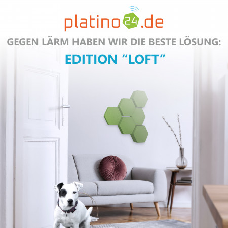 Edition LOFT Honeycomb - 6 Absorber aus Basotect ® - Farbe: Kermit