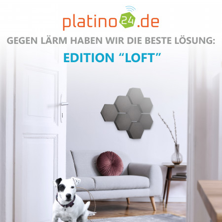 Edition LOFT Honeycomb - 8 Absorber aus Basotect ® - Farbe: Anthracite