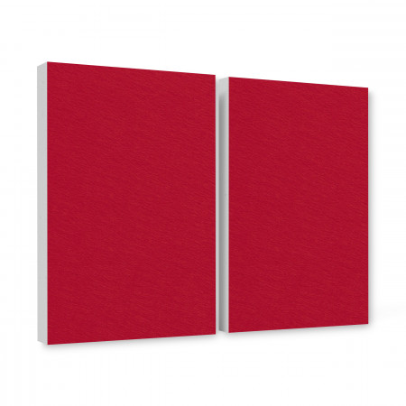 2 Schallabsorber aus Basotect ® G+ / Wandbild Akustik Schalldämmung je 82,5x55cm