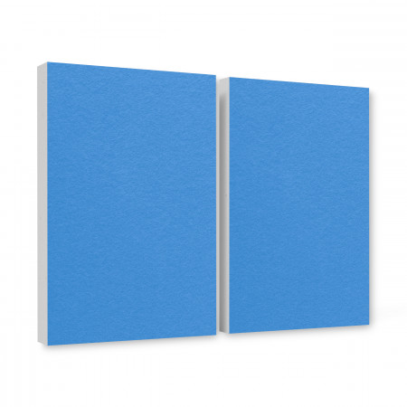 2 Schallabsorber aus Basotect ® G+ / Wandbild Akustik Schalldämmung je 82,5x55cm