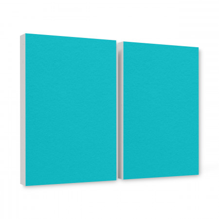 2 Schallabsorber aus Basotect ® G+ / Wandbild Akustik Schalldämmung je 82,5x55cm