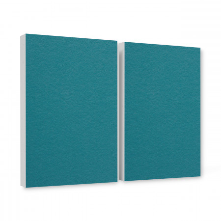 2 Schallabsorber aus Basotect ® G+ / Wandbild Akustik Schalldämmung je 82,5x55cm