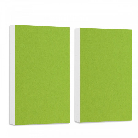 2 Basotect ® G+ sound absorber / Wall object acoustic sound insulation 82,5x55cm (Light Green)