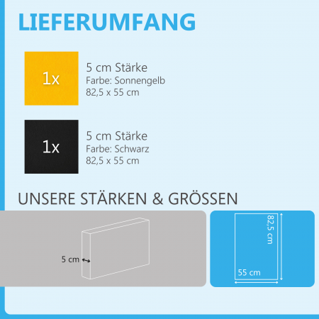 Schallabsorber aus Basotect ® G+ / 2 x Wandbild 82,5x55 cm Akustik Element Schalldämmung (Sonnengelb + Schwarz)