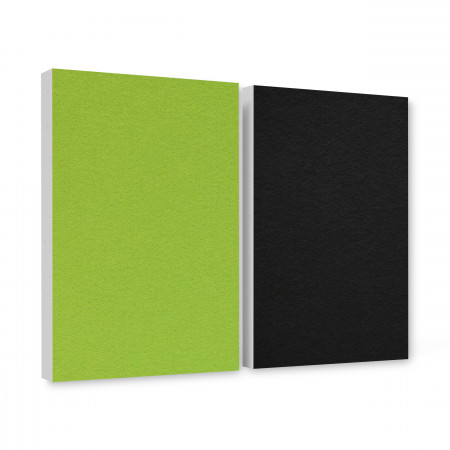 Basotect ® G+ sound absorber / 2 x wall object 82.5x55 cm acoustic element sound insulation (light green + black)