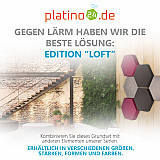 Edition &quote;LOFT&quote; Honeycomb - 6 Absorber aus Basotect ® - Farbe: Platinum + Anthracite + Magenta