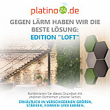 Edition &quote;LOFT&quote; Honeycomb - 6 Absorber aus Basotect ® - Farbe: Platinum + Anthracite + Kermit