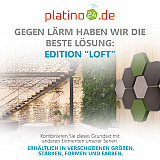 Edition &quote;LOFT&quote; Honeycomb - 9 absorbers made of Basotect ® - Colour: Platinum + Anthracite + Kermit