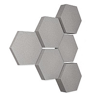 Edition LOFT Honeycomb - 6 Absorber aus Basotect ® - Farbe: Platinum