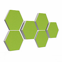 6 absorbers honeycomb shape - made of Basotect ® G+ / Colore LIGHT-GREEN / 2 each 300 x 300 x 30/50/70mm
