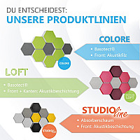 6 Absorber Wabenform aus Basotect ® G+ / Colore diverse Farben / je 2 Stück 300 x 300 x 30/50/70mm
