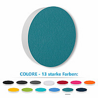 1 Akustik Schallabsorber aus Basotect ® G+ /  Kreis 40 cm