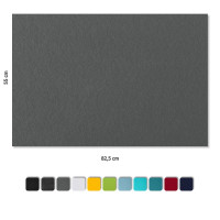 Schallabsorber aus Basotect ® G+ / 2 x Wandbild 82,5x55 cm Akustik Element Schalldämmung (Schwarz + Granitgrau)